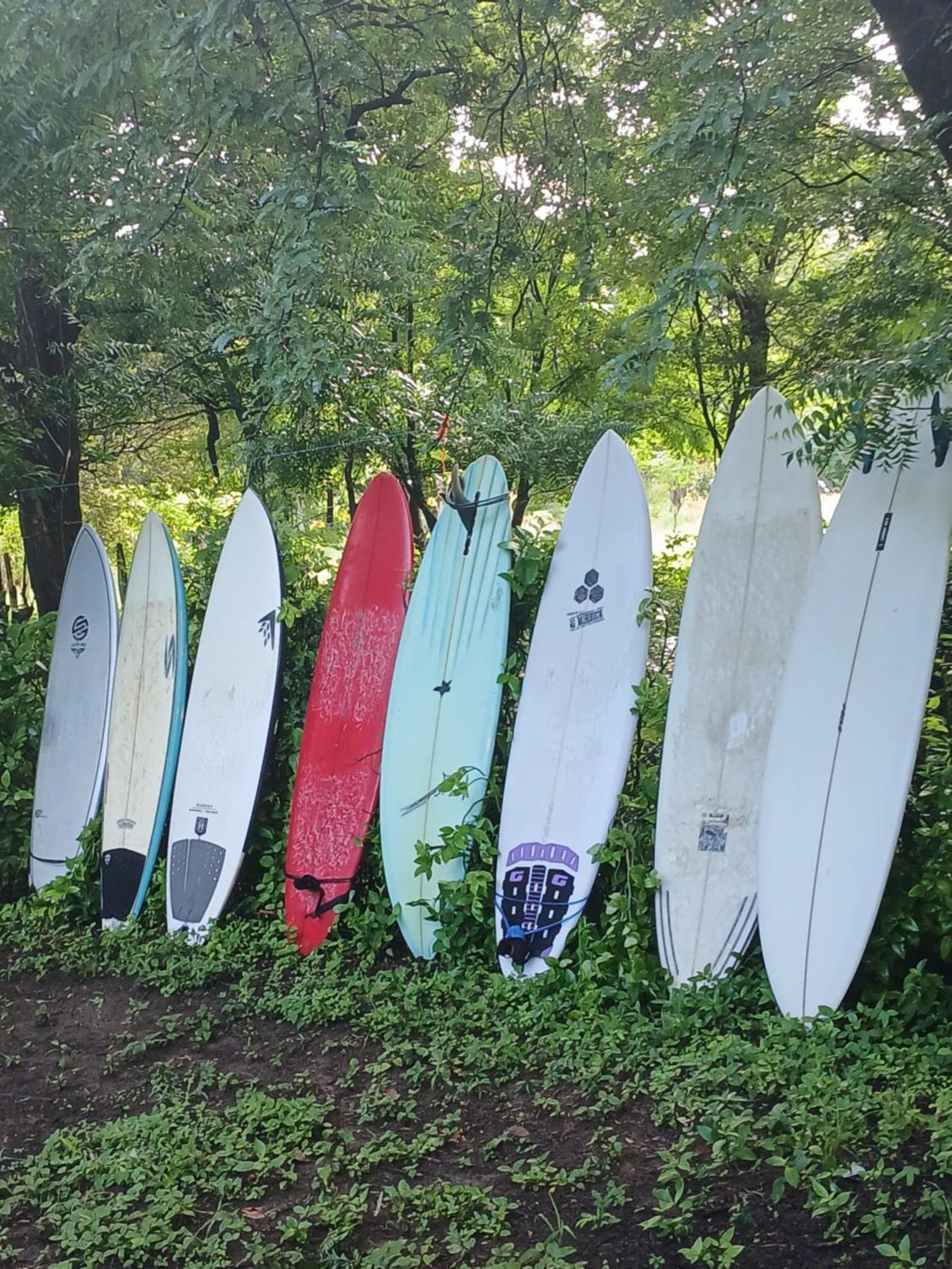 Mola Mola Surf Popoyo住宿加早餐旅馆 外观 照片